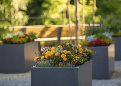 Bunte Gelb-Orange-Blüten in grauen Pflanzkübeln, modernes Outdoor-Design, unscharfer Hintergrund.
