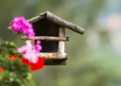 Holzvogelhaus auf Stange, von pinken Blumen im Vordergrund eingerahmt, unscharfer Gartenhintergrund.
