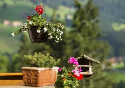 Hängender Blumenkorb mit roten Geranien und weißen Blüten vor grünem Gartenhintergrund