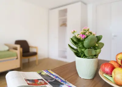 Heller, moderner Wohnraum: Tisch mit Zeitung, Obstkorb voller Äpfel und Topfpflanze mit rosa Blüten.